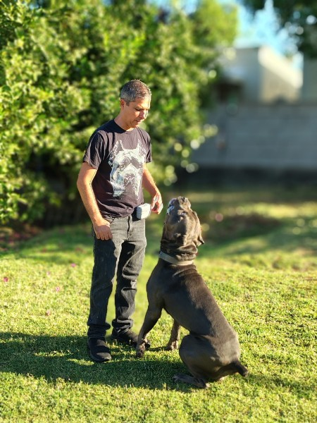 Win standing while a gray dog sits attentively in front of him